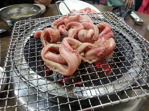 자갈치꼼장어일진